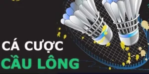Hướng Dẫn Chơi Cá Cược Cầu Lông Tại J88 Một Cách Hiệu Quả