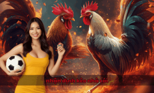 Nhận định kèo nhà cái