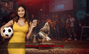 Soi kèo nhà cái hôm nay